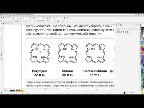 Видео: Онкологика - Предварительные результаты (16.06.2024)