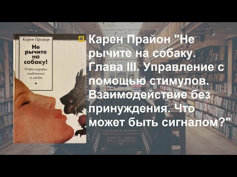 Видео: Стрим 231. Карен Прайор Глава 3. Фрагмент "Что может быть сигналом?"