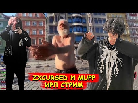 Видео: КУРСЕД НА СВИДАНИИ С МАПП В ПОЛЬШЕ