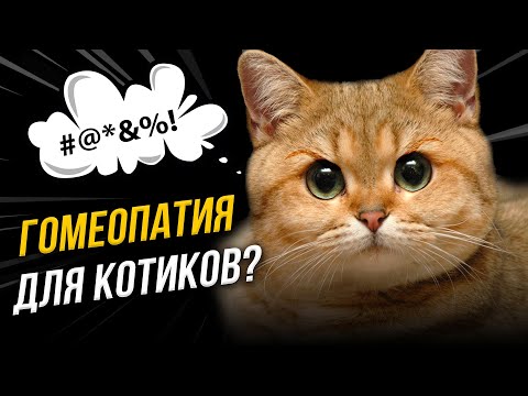 Видео: Чем грозит гомеопатия вашему питомцу? | Ученые против мифов 19-16. Николай Вагабов