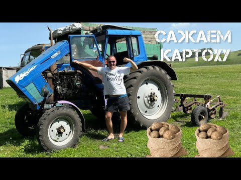 Видео: Деревенский колорит.