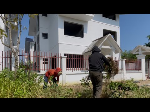 Видео: От забытого к великолепному — невероятная уборка тротуара между двумя красивыми домами
