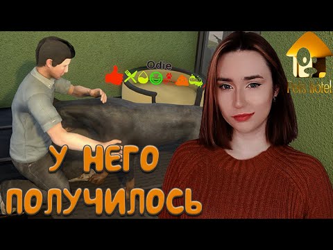 Видео: Pets Hotel ► ОЧЕНЬ СТРАННЫЕ ДЕЛА В ОТЕЛЕ
