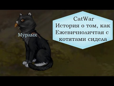 Видео: CatWar / О том, как я с котятами подружилась