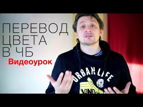 Видео: Перевод цвета в чб. Видео урок по фотографии 65