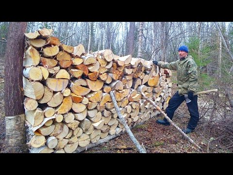 Видео: СПИЛИЛ ДВАДЦАТЬ ДЕРЕВЬЕВ / КОЛКА И УКЛАДКА ДРОВ В ЛЕСУ / ЗАГОТОВКА ДРЕВЕСИНЫ ДЛЯ ОТОПЛЕНИЯ ДОМА.