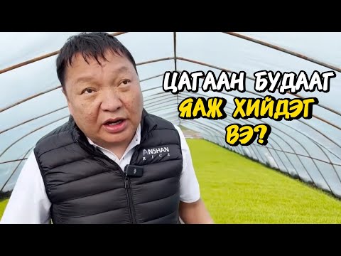 Видео: Үүргэвчтэй Аялал 2 | Хятадын Ляонин мужийн Аншан хот.