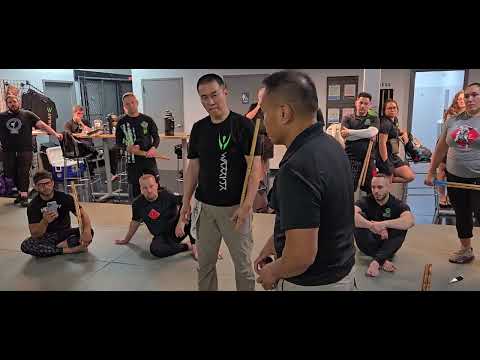 Видео: Мастер Аполо Ладра Кали тренируется на сертификационных семинарах по боевым искусствам воинов bit...