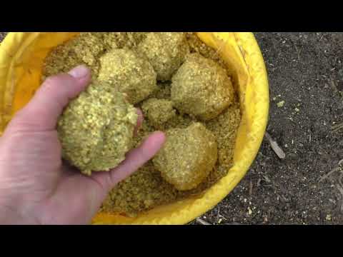 Видео: НА ЗАБЫТУЮ СНАСТЬ СРАЗУ ПО ТРИ РЫБЫ! ШНЯГА ЗАБИВАЕТ ВСЁ! рыбалка с ночевкой