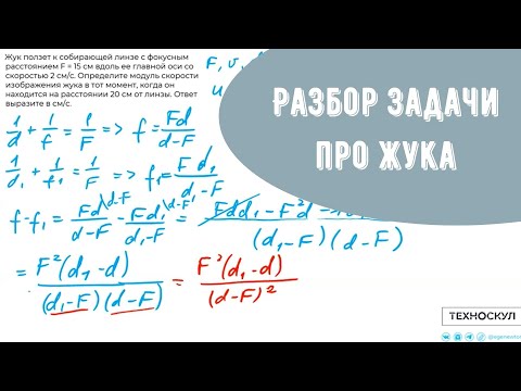 Видео: Разбор задачи про жука (геометрическая оптика)