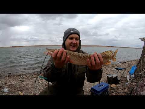 Видео: Рыбалка в Караганде!Закрытие сезона жидкой воды Чкаловка 2020