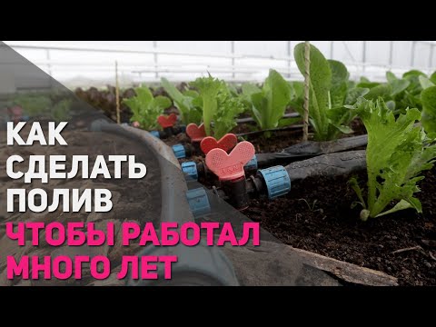 Видео: Собираем капельный полив самостоятельно. Подробная инструкция. Это лучше знать!