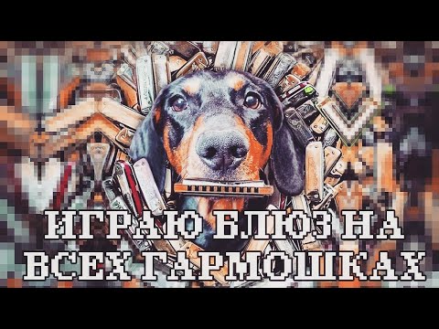 Видео: Играю блюз на 17 губных гармошках | Playing blues on the 17 harmonica (ENG sub)