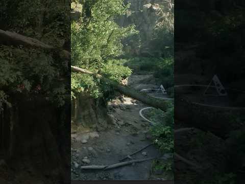 Видео: Процедурная генерация миров в UE5 #shorts #games #ue5
