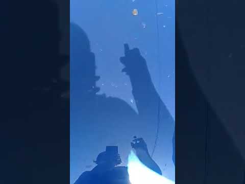 Видео: Чем отмыть полировочную пасту с машины? Один из вариантов, средство от жира Фармаси!