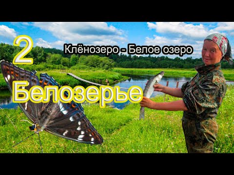 Видео: #2 Клёнозеро - Белое озеро | Дикими реками к Белому озеру