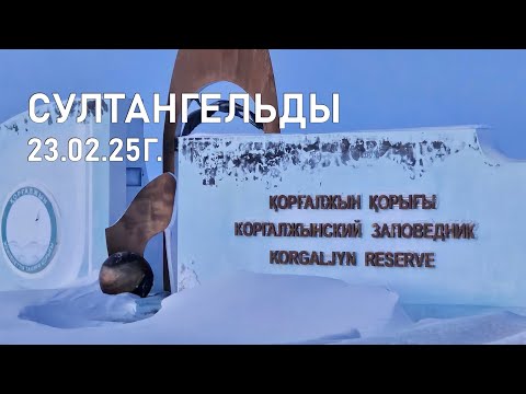 Видео: Коргальжино оз. Султангельды 23.02.25г.