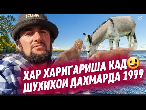Видео: ДАХМАРДА 1999 ГУФТ ХАР ХАРИГАРИША КАД МА ЛИБОС ДОРМ ЛЕКИН ДАР МАГАЗИНАН🤪ПРИКОЛОИ ТЕНЧИ БАДШ ХАРИ МА.