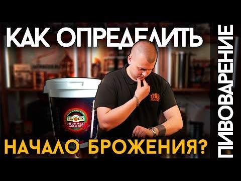 Видео: КАК ОПРЕДЕЛИТЬ НАЧАЛО БРОЖЕНИЯ | И что делать, если брожение не начинается