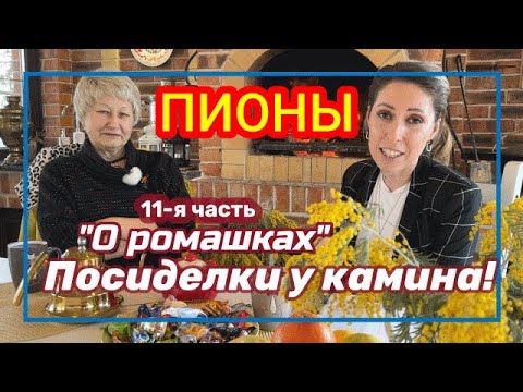 Видео: Посиделки у камина. Часть 11. Пионы c простой формой цветка / Сад Ворошиловой