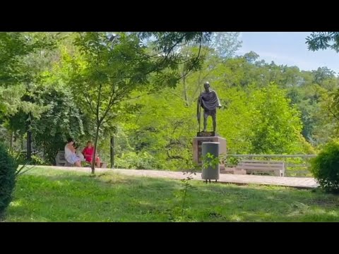 Видео: Київський ботанічний сад імені академіка Олександра Фоміна