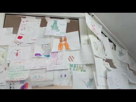 Видео: Минск, Музей Кота. Седьмая серия.