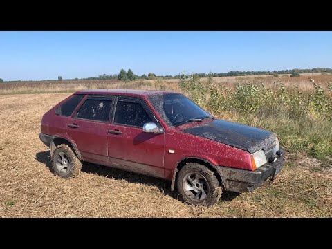 Видео: Серебро под ногами. Житомирская область?