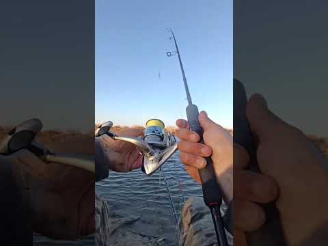 Видео: 25.10.25г