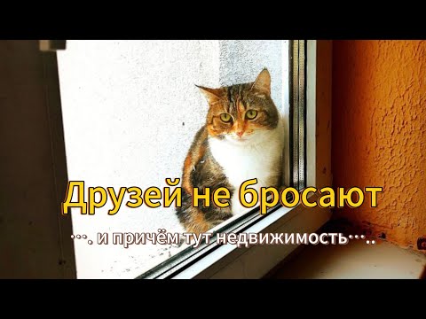 Видео: Инна Крикунова. Не только о недвижимости.