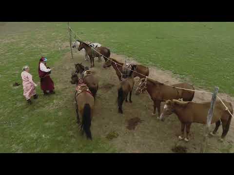 Видео: Бидний хурим Drone video Архангай аймаг