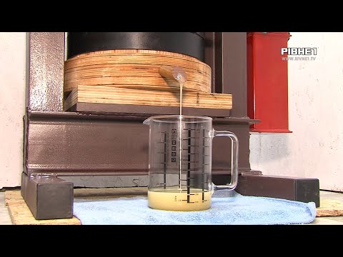 Видео: На Рівненщині чоловік виготовляє олію з горіхів