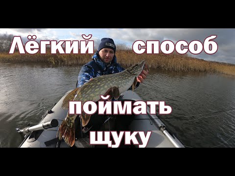 Видео: ЛЁГКИЙ СПОСОБ ПОЙМАТЬ ЩУКУ. СЕКРЕТЫ Пелагического джига. Ловля щуки на спиннинг. Щука на джиг.