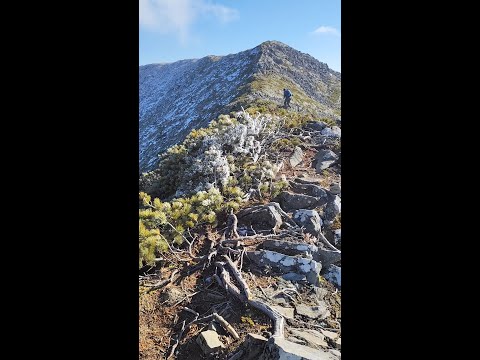 Видео: г.Облачная с севера. г.Снежная с запада. Приморье. Треккинг