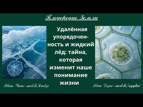 Видео: Это все чувствуют, но не знают.Тайна жидкого льда и жизни на Земле №825/25