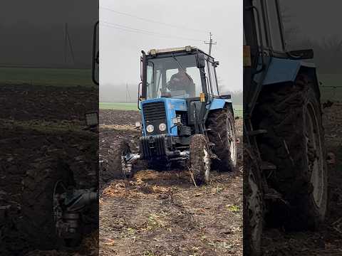 Видео: МТЗ-80 в оранці ПВМ Т-40 #оранка #плн #мтз #т40