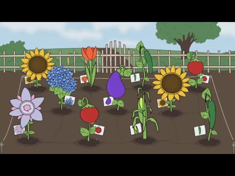 Видео: Артур - ОТЛИЧНЫЙ САД (стиль Watchkreen)