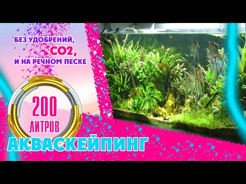 Видео: #aquascaping #Акваскейпинг. #Акваскейп.  Аквариум на 200 литров. Без удобрений, СО2, на песке.