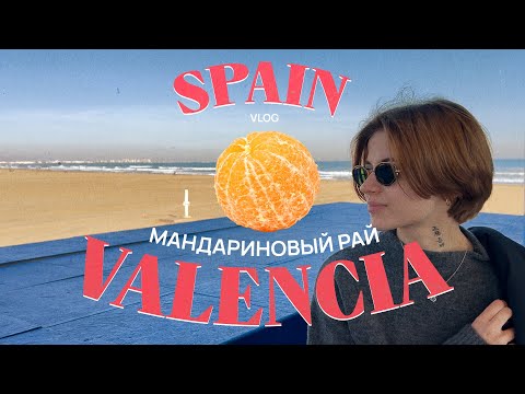 Видео: Валенсия: акулы, дельфины и мандариновые деревья