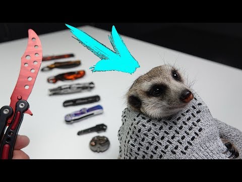 Видео: Что выберет Сурикат ? БРОНЕ ПЕРЧАТКИ НОЖ БАБОЧКА и моя Новая коллекция Ножей из Китая !