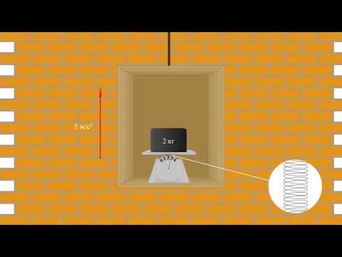 Видео: Нерсенин салмагы