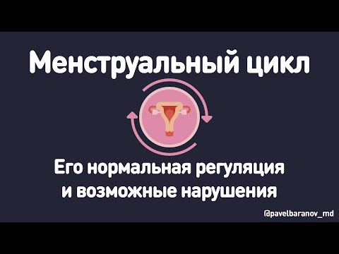 Видео: Менструальный цикл, его регуляция и возможные нарушения.