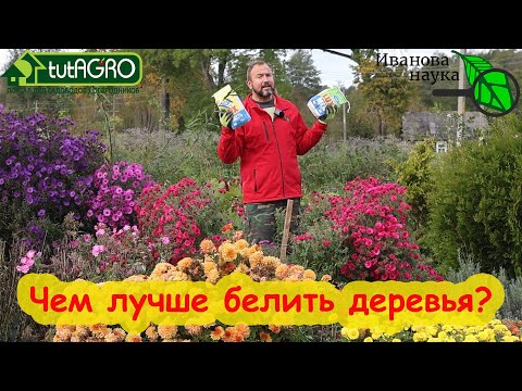 Видео: Не торопитесь с побелкой! КОГДА, КАК и ЧЕМ ЛУЧШЕ БЕЛИТЬ ДЕРЕВЬЯ. Мел или известь - что лучше?