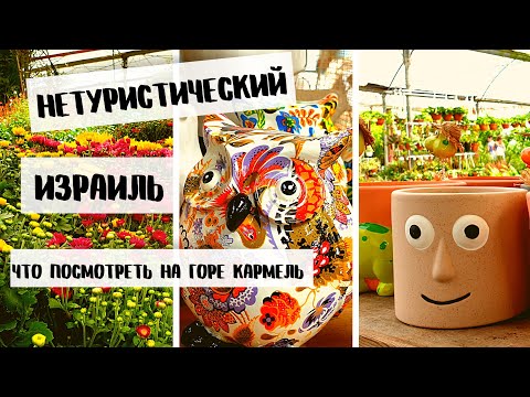 Видео: Друзские селения на горе Кармель. Монастырь Мухрака