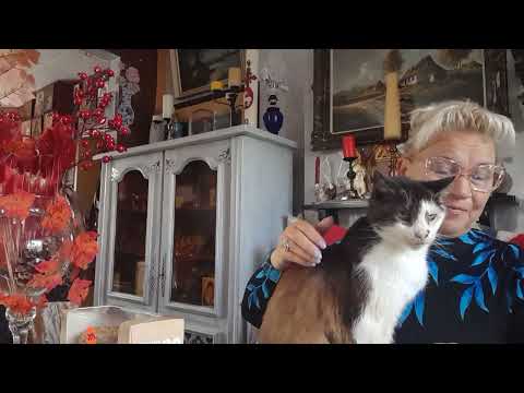 Видео: И СНОВА Я В ЭФИРЕ , НО НЕ ОДНА ###