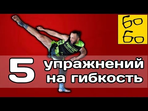 Видео: Тренировка гибкости для ударов ногами! 5 упражнений на гибкость бедер и таза от Анвара Абдуллаева