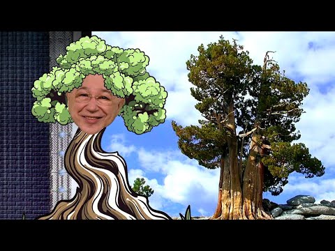 Видео: Юмор! Юмор!! Юмор!!! Выпуск 196