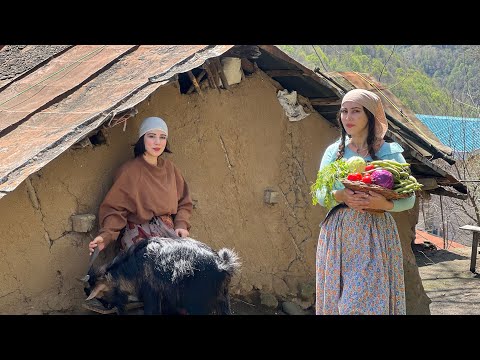 Видео: Приготовление вегетарианской еды под названием «Таре» на Сизда бе Дар