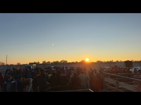 Видео: БЕРУНИЙ АБАЙ МОЛ БОЗОРИ 5 НОЯБР2025