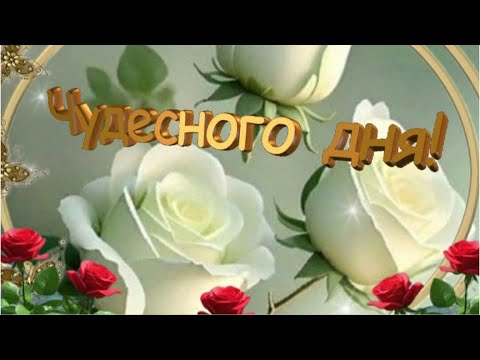 Видео: Пусть всё вокруг радует тебя! ДОБРОЕ УТРО ☀️ ХОРОШЕГО ДНЯ 🍰☕ Музыкальный приветик для тебя ❤