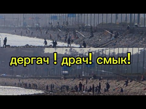 Видео: Более 1 млн. Людей ловят рыбу с весны до осени на дергач в Корее #fishing #рыбалка #낚시 #рыбалканафид